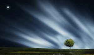 amazing-736884_960_720