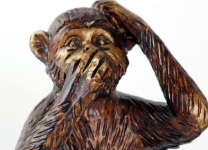 monkey-987886_960_720