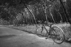 road-3155013_960_720