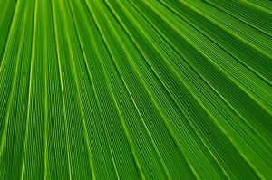 abstract-21851_960_720