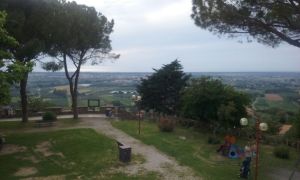 cell giugno 2018 270